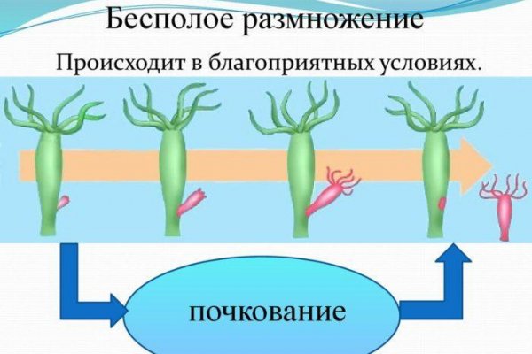 Кракен запрещенные вещества